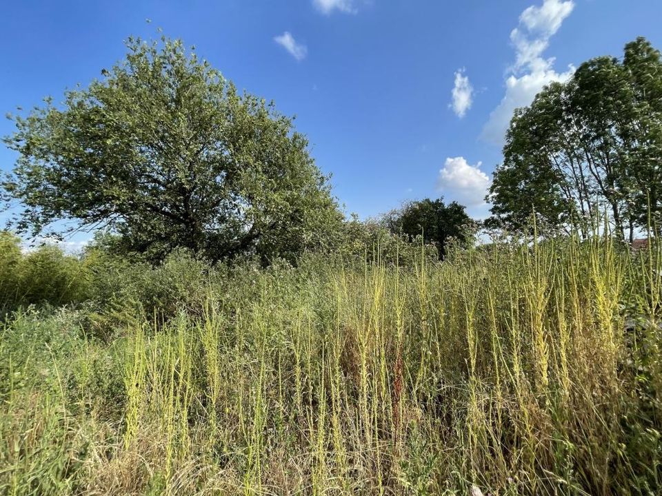 Terra em Saint-Ignat, Puy-de-Dome - foto 5