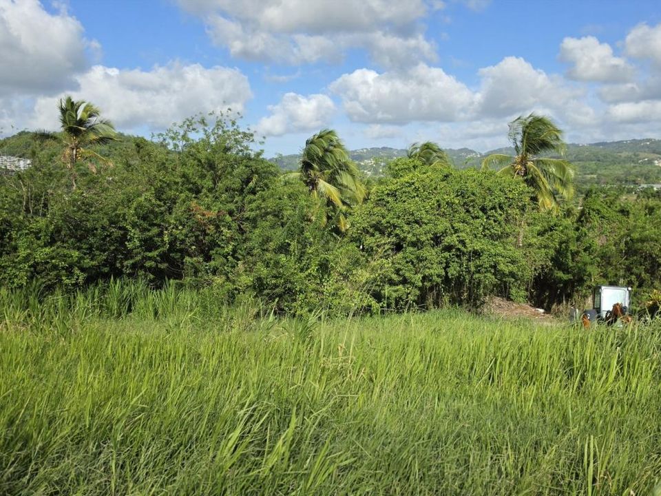 Grundstück in Dikos, Martinique - Foto 3