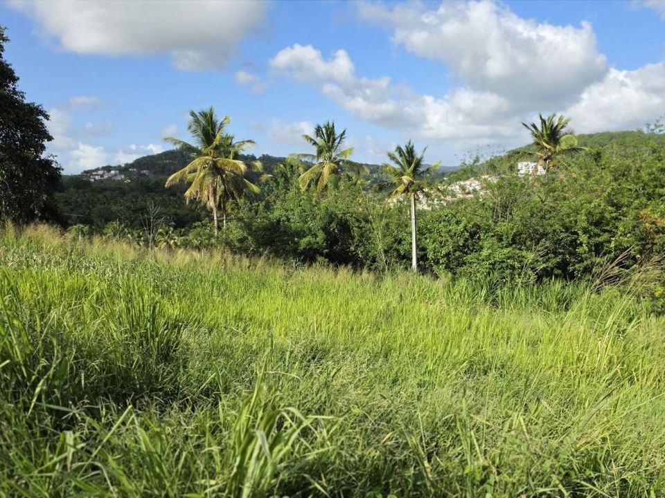Grundstück in Dikos, Martinique - Foto 4