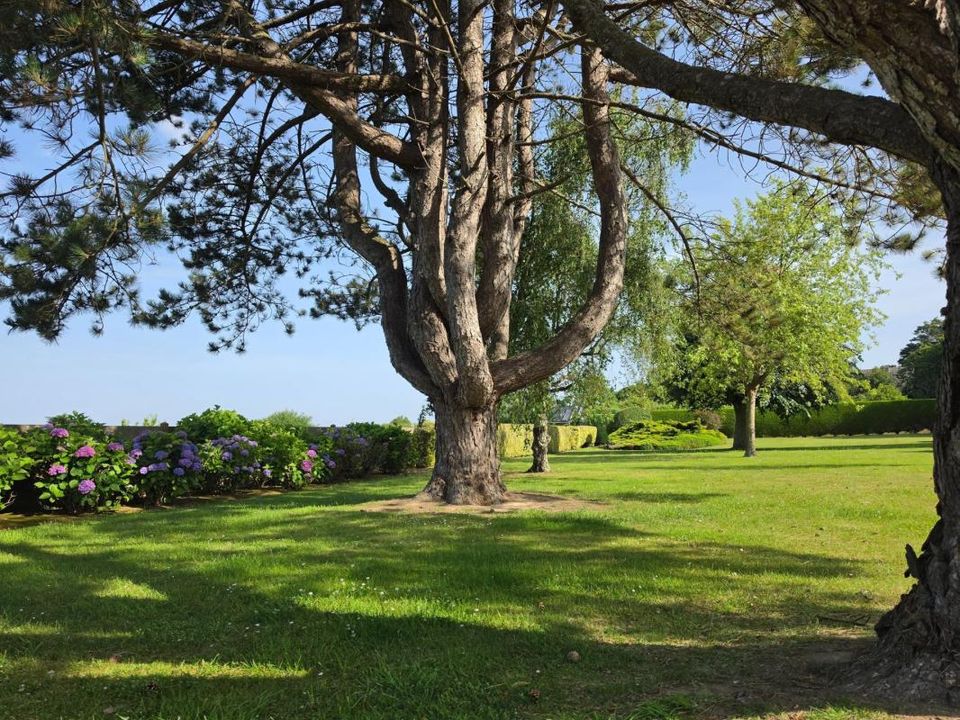 Villa a Penvénan, Cotes-d'Armor - foto 5