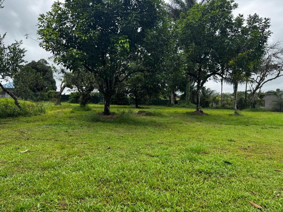 Grond in Matoury, French Guiana - foto 1