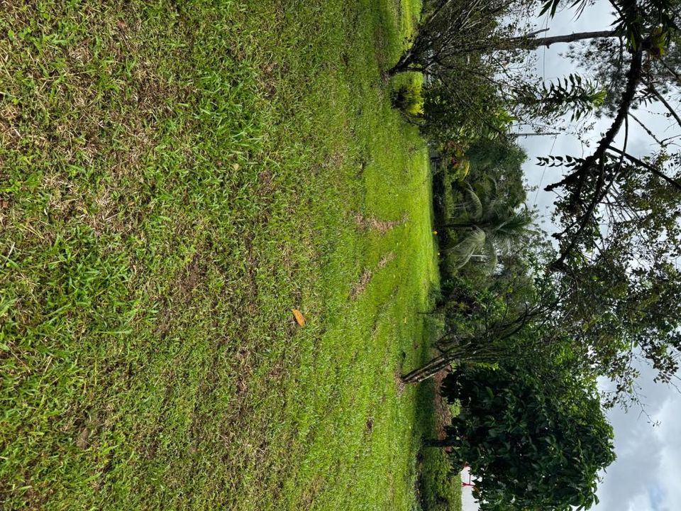 Grond in Matoury, French Guiana - foto 2