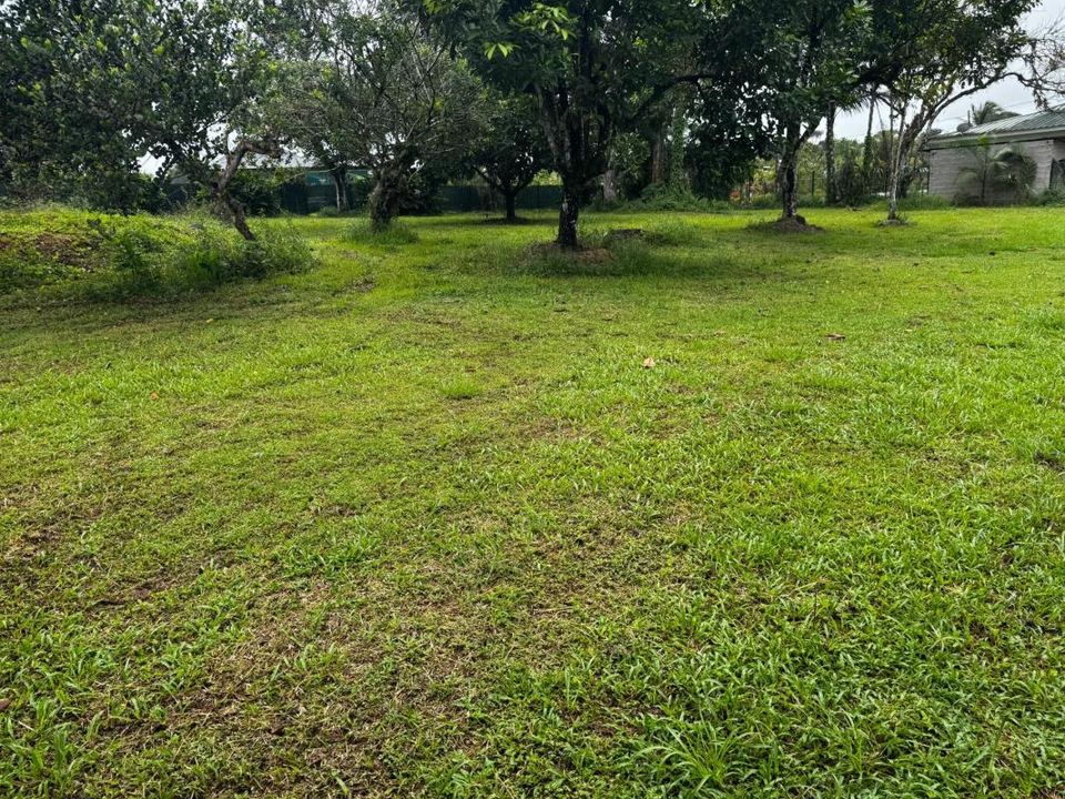 Grond in Matoury, French Guiana - foto 3