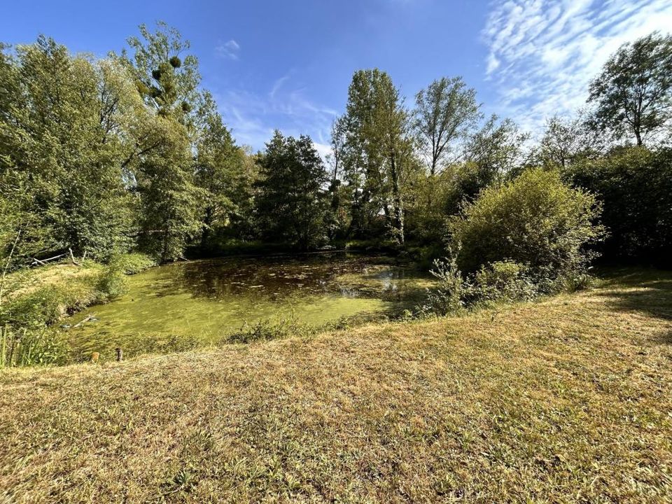 Villa i Selles-sur-Cher, Loir-et-Cher - foto 2