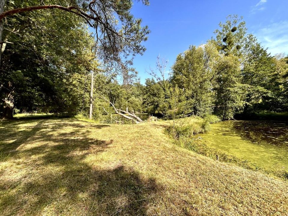 Villa i Selles-sur-Cher, Loir-et-Cher - foto 3