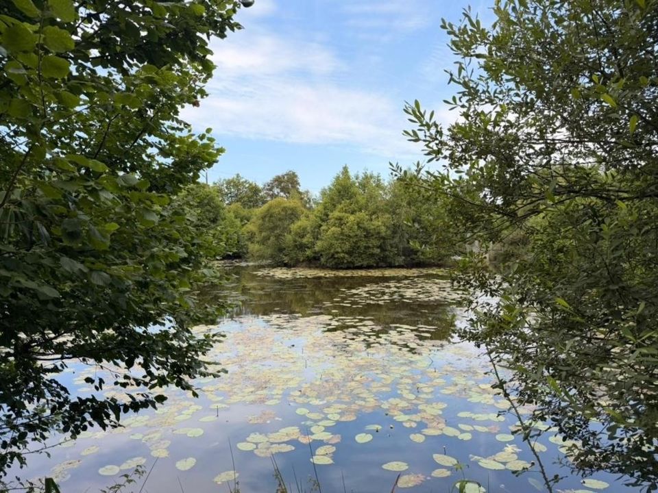 Działka: Saint-Congard, Morbihan – zdjęcie 1