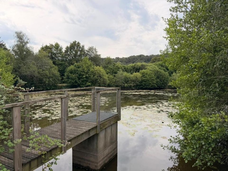 Działka: Saint-Congard, Morbihan – zdjęcie 2