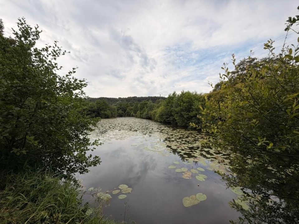 Działka: Saint-Congard, Morbihan – zdjęcie 5
