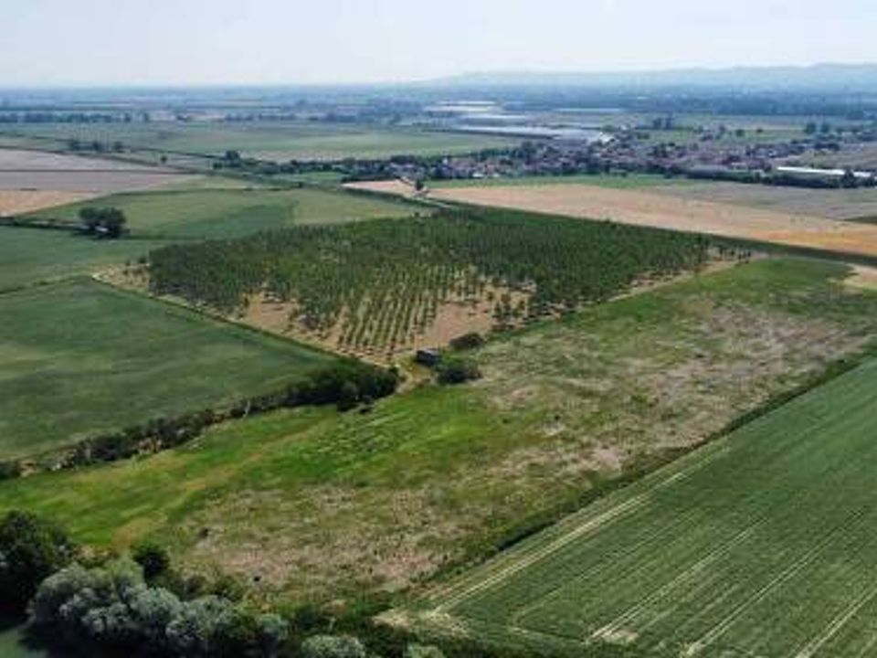 Terra a Caldogno - Rettorgole - Cresole, Vicenza - foto 4