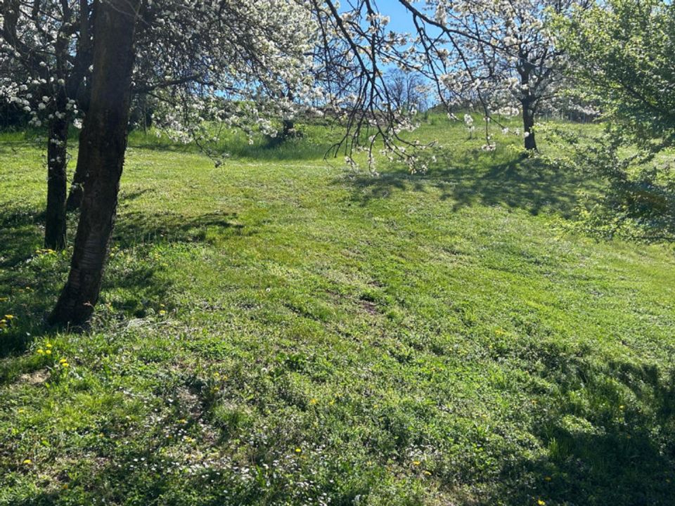 Terra a Caldogno - Rettorgole - Cresole, Vicenza - foto 5