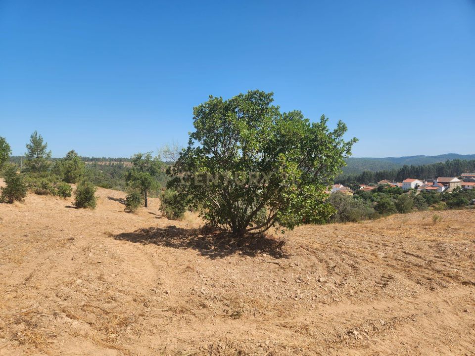 Terreno en Vila Velha de Rodao, Castelo Branco - foto 2
