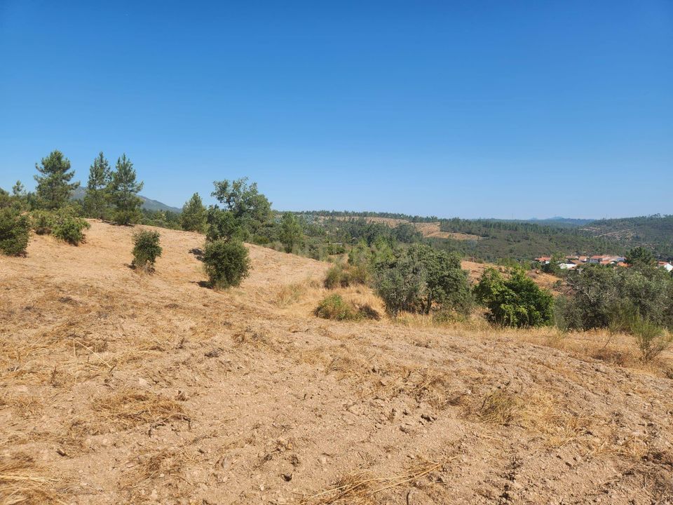 Terreno en Vila Velha de Rodao, Castelo Branco - foto 4