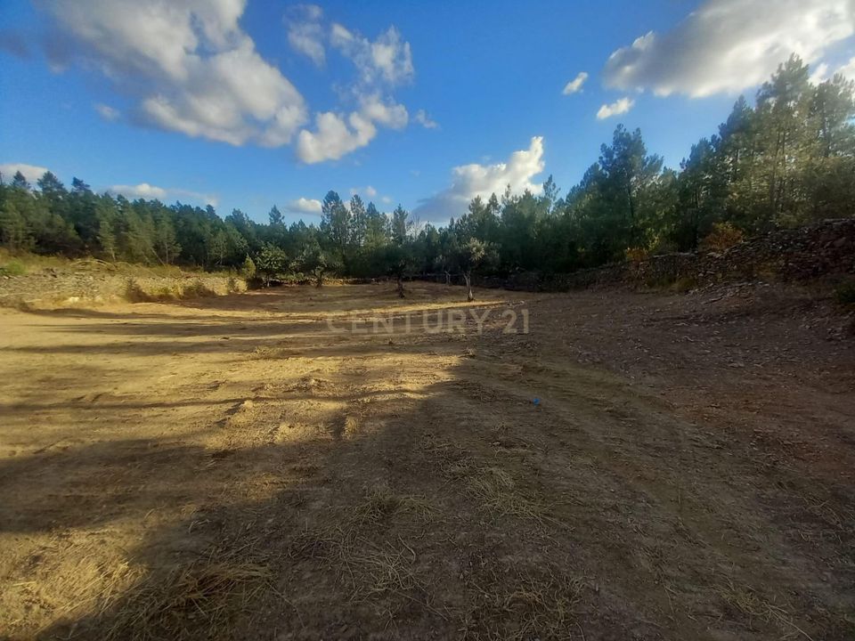 Terreno en Penamacor, Castelo Branco - foto 1
