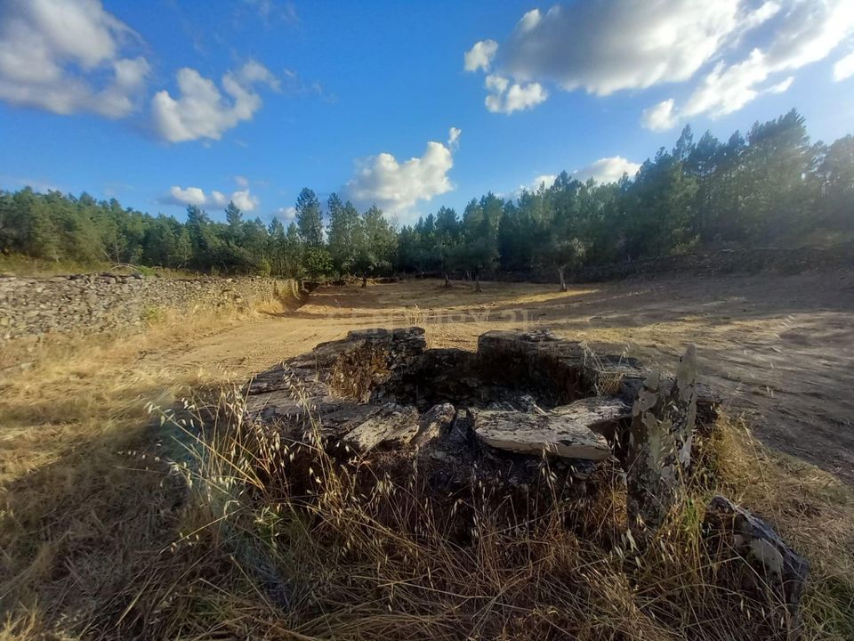 Terreno en Penamacor, Castelo Branco - foto 4
