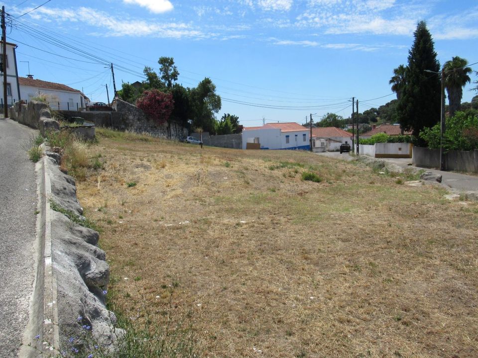 Helårsgrund i Torres Novas, Santarem - foto 3