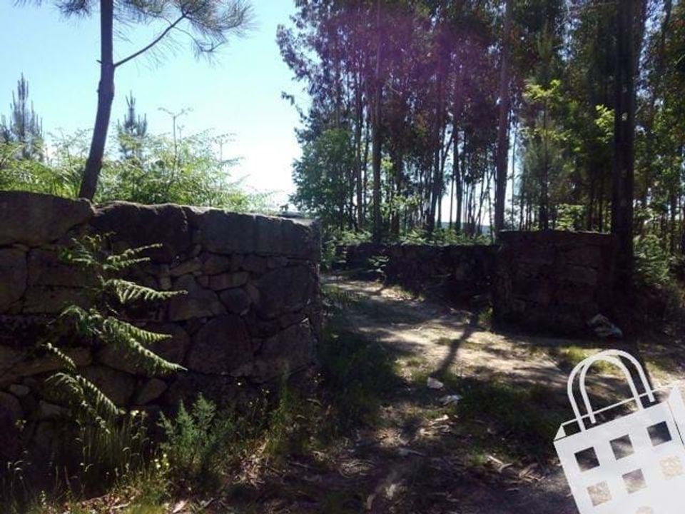 Terra a Carvalhais e Candal, Viseu - foto 1