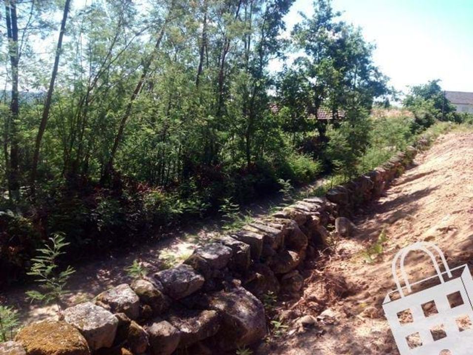 Terra a Carvalhais e Candal, Viseu - foto 2