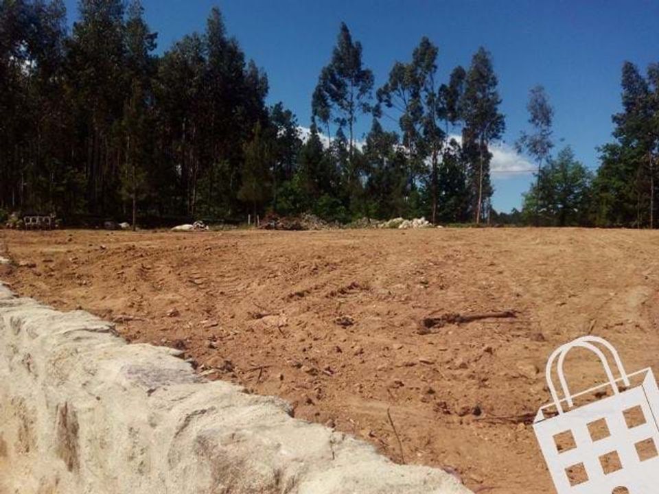 Terra a Carvalhais e Candal, Viseu - foto 3
