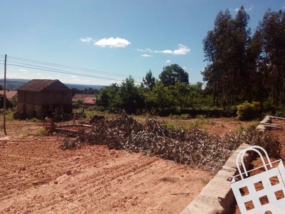Terra a Carvalhais e Candal, Viseu - foto 4