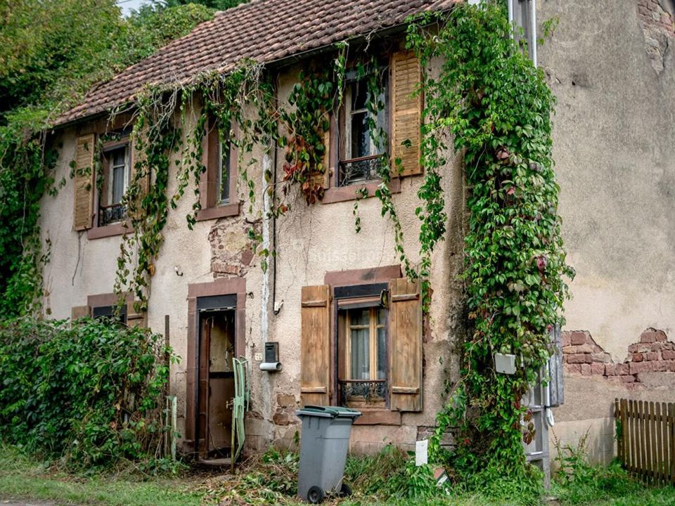 Villa in Saulnot, Haute-Saone - foto 2