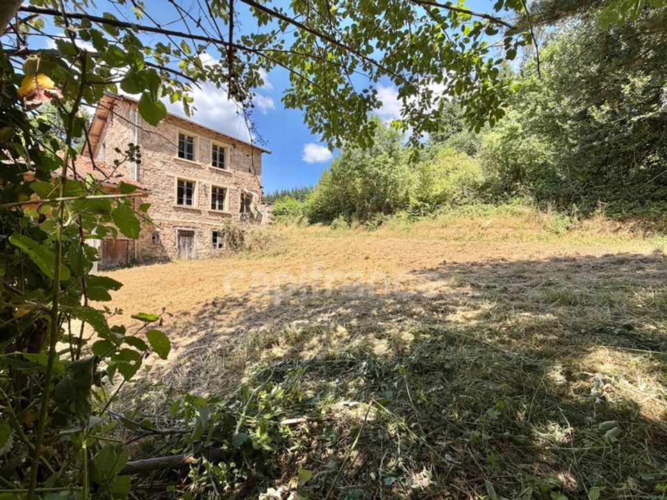 Herregård i La Tuiliere, Loire - bilde 1