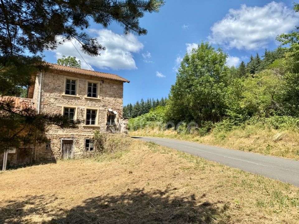 Herregård i La Tuiliere, Loire - bilde 5