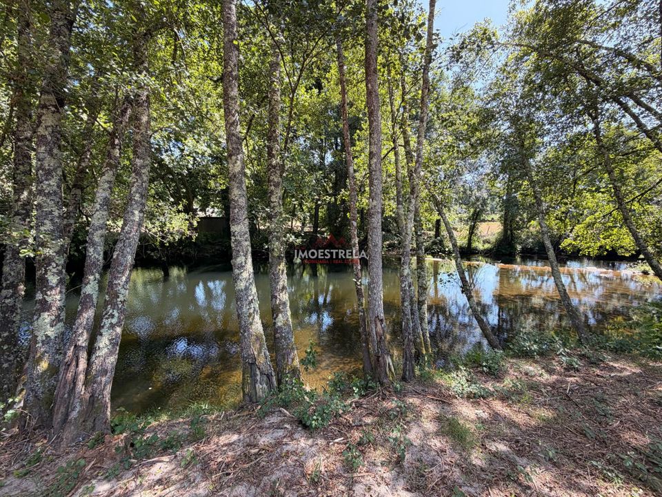 Farm i Seia, Guarda - foto 2