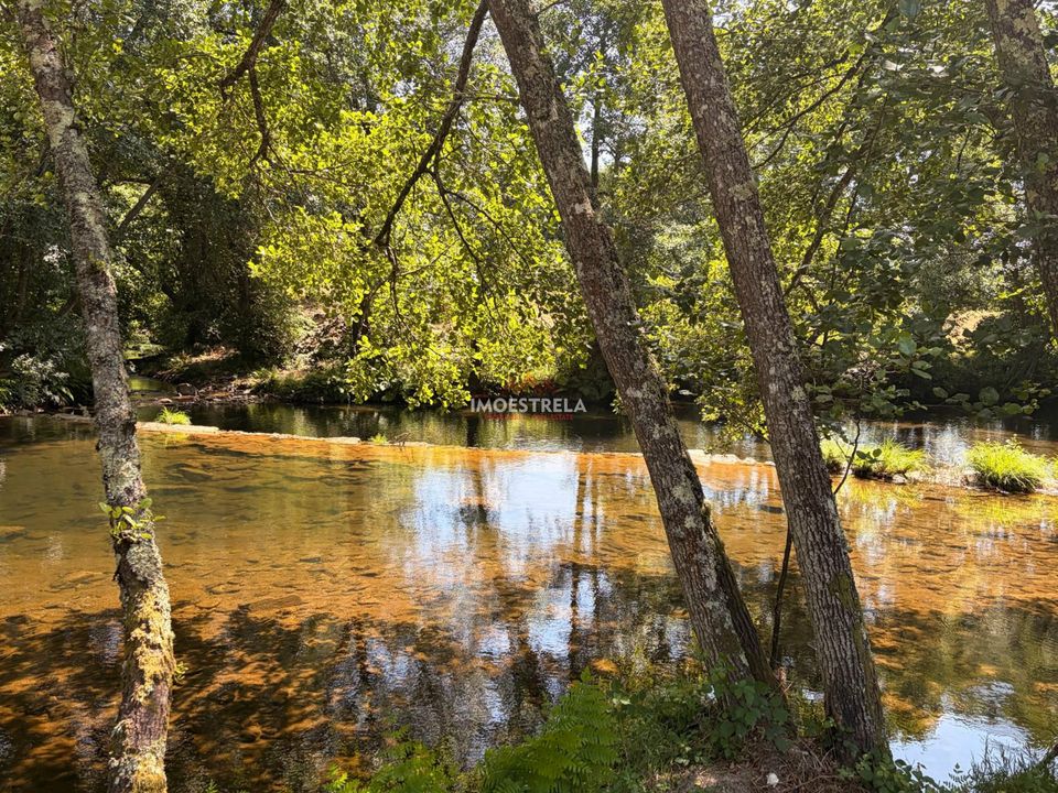 Farm i Seia, Guarda - foto 5
