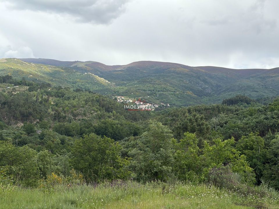 Farm i Gouveia, Guarda - foto 4