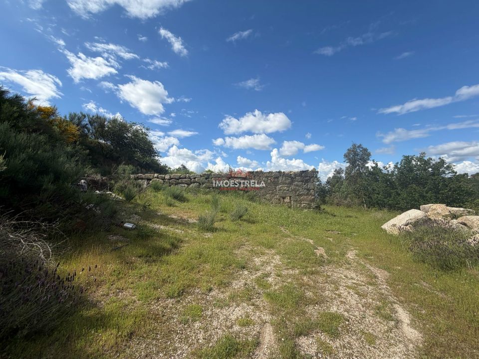 Farm i Gouveia, Guarda - foto 5
