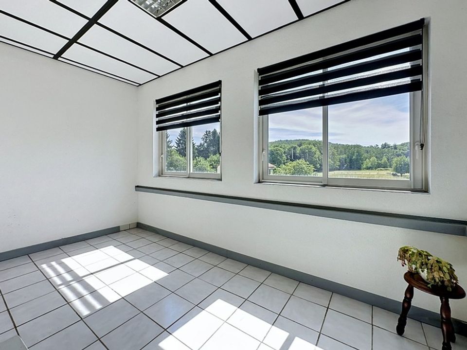 Villa em Varsberg, Moselle - foto 5