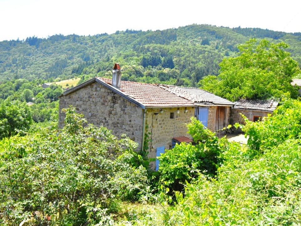 Villa i Saint-Julien-d'Intres, Ardeche - foto 1