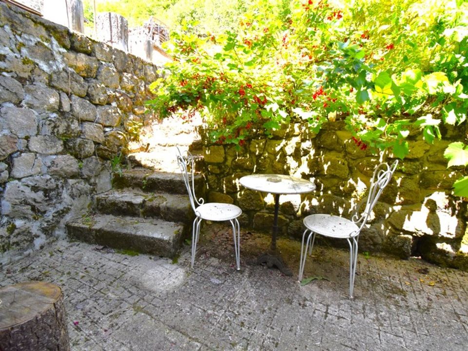 Villa i Saint-Julien-d'Intres, Ardeche - foto 4