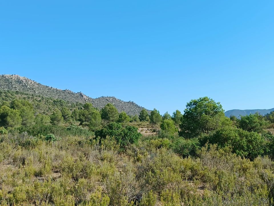 Terra em Yecla, Murcia - foto 2