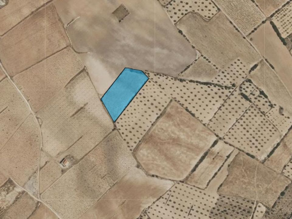 Terra em Yecla, Murcia - foto 3