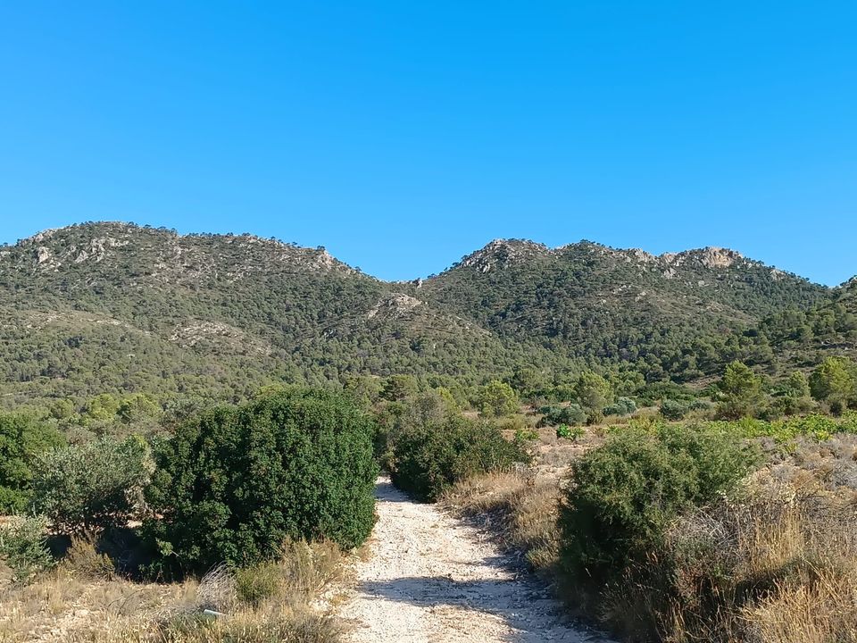 Terra em Yecla, Murcia - foto 3