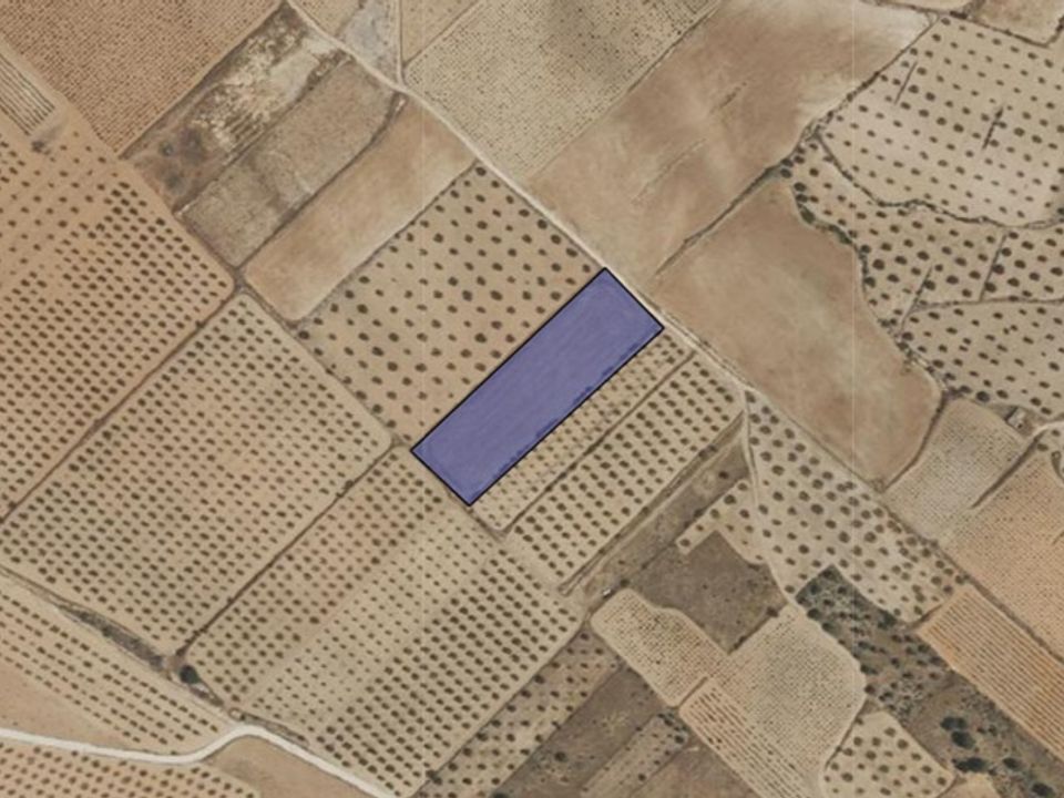 Terra em Yecla, Murcia - foto 4
