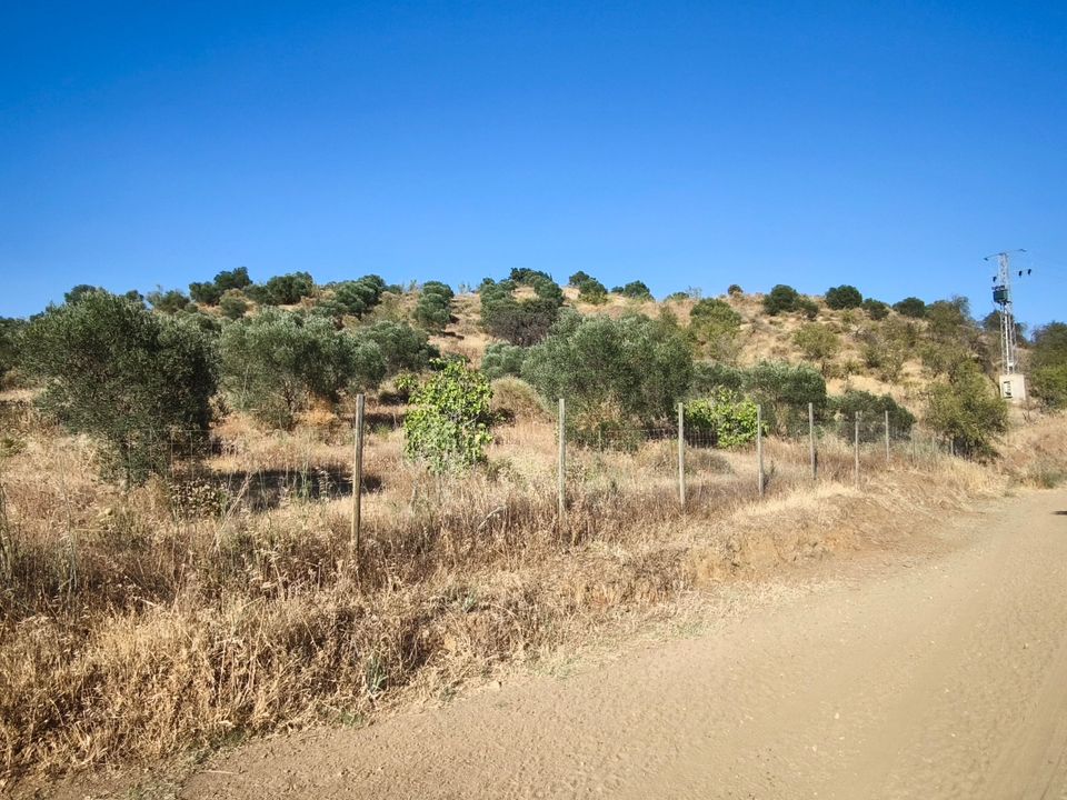 Terreno en Pizarra, Malaga - foto 1