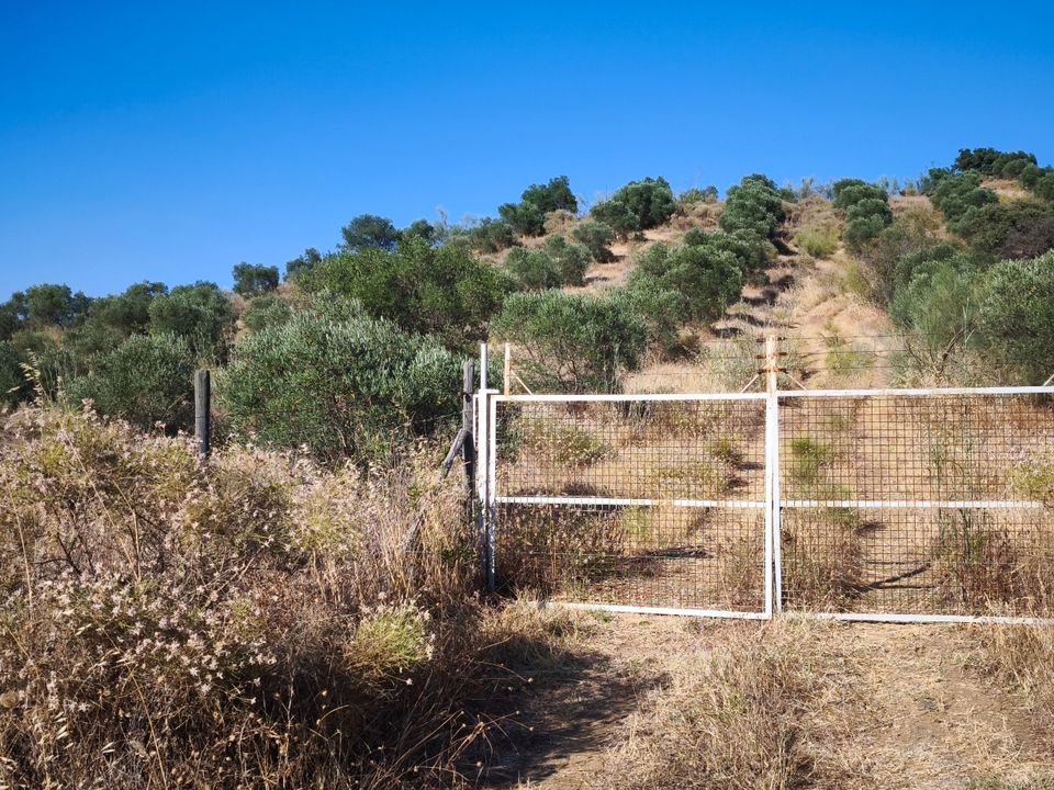 Terreno en Pizarra, Malaga - foto 3