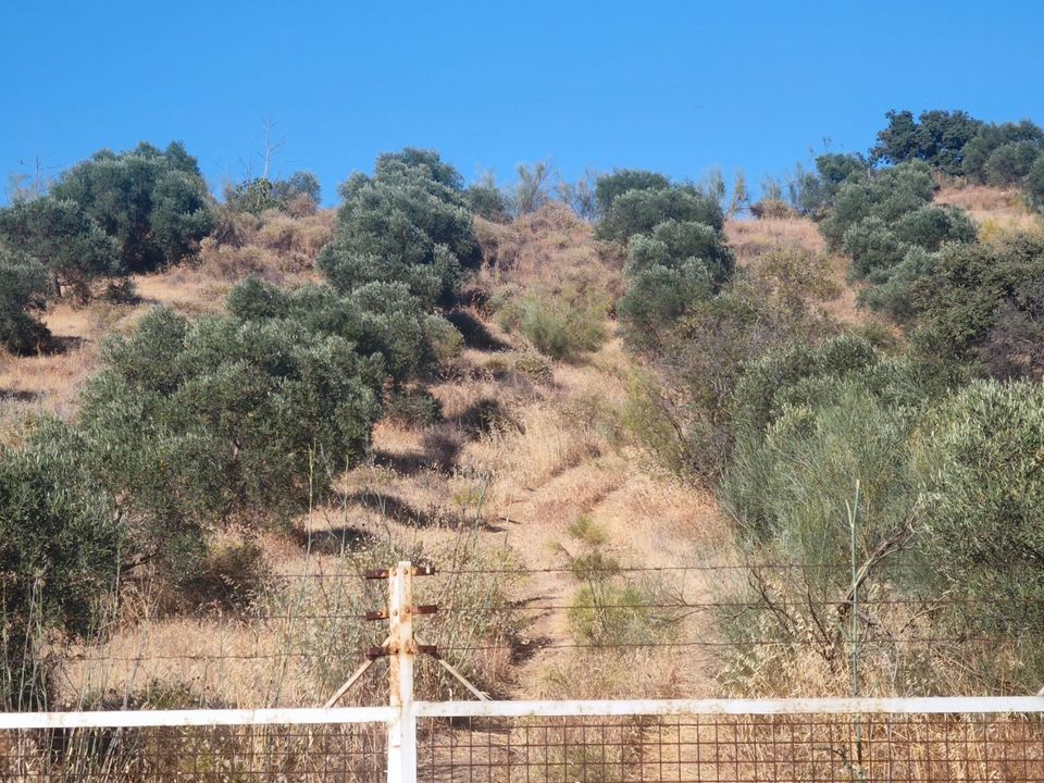 Terreno en Pizarra, Malaga - foto 4