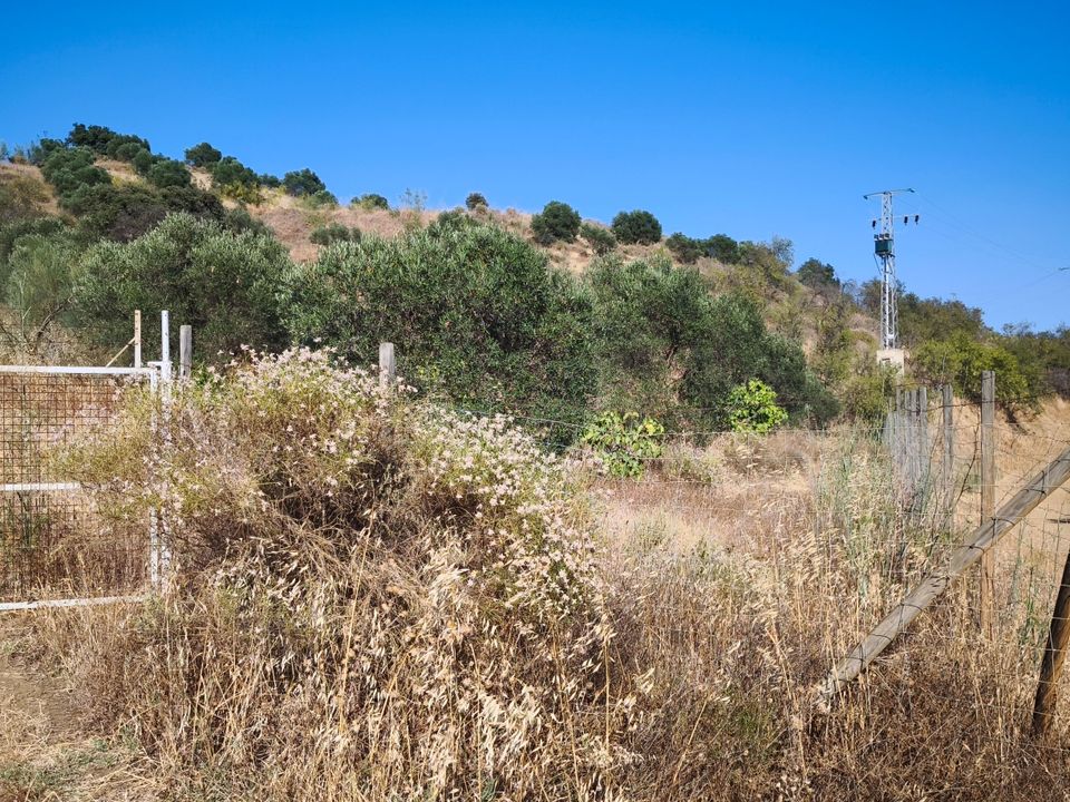 Terreno en Pizarra, Malaga - foto 5