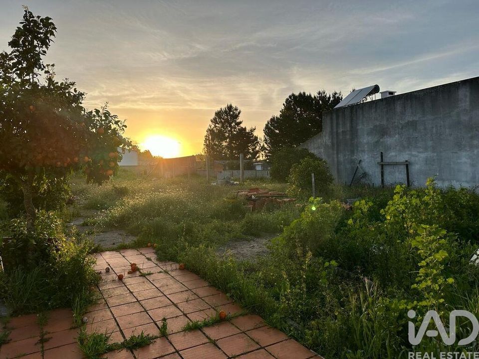 Terra a Palmela, Setubal - foto 1