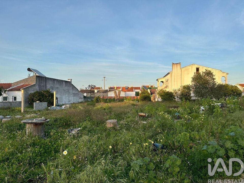 Terra a Palmela, Setubal - foto 4