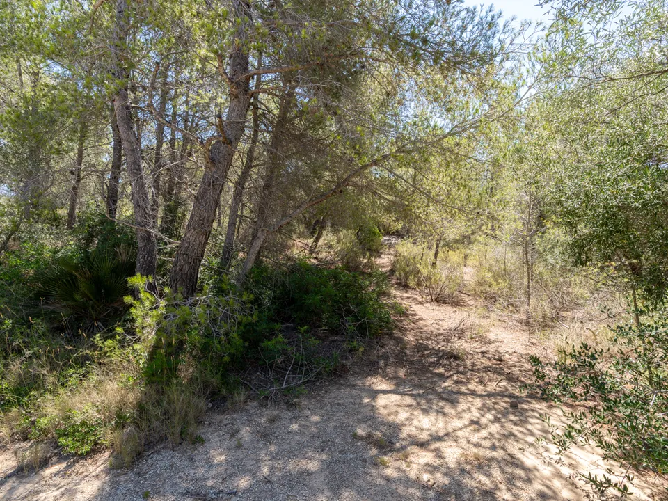 Finca i L'Ametlla De Mar, Tarragona - bilde 5