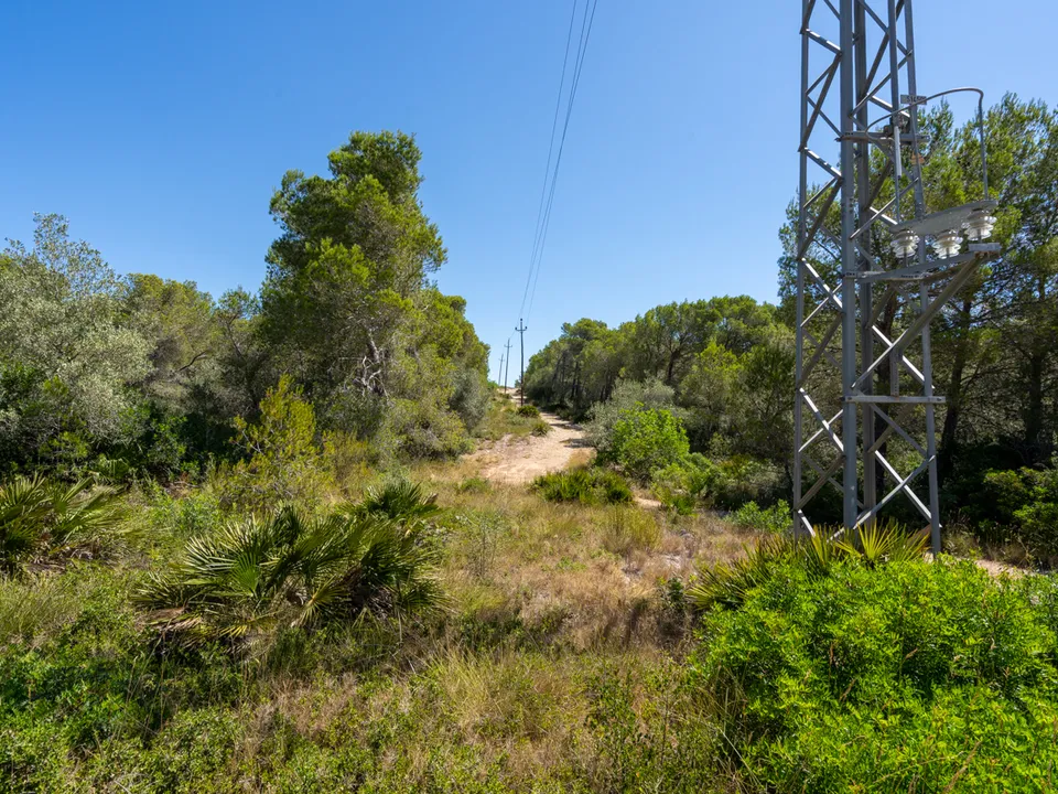 Finca i L'Ametlla De Mar, Tarragona - bilde 4
