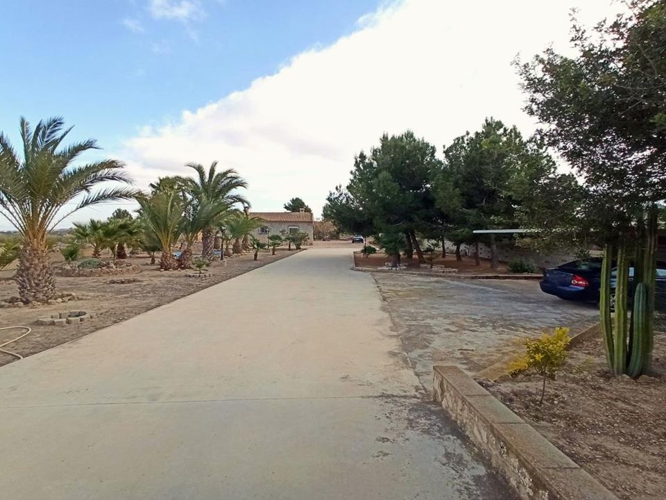 Herregård i Aspe, Alicante - bilde 3