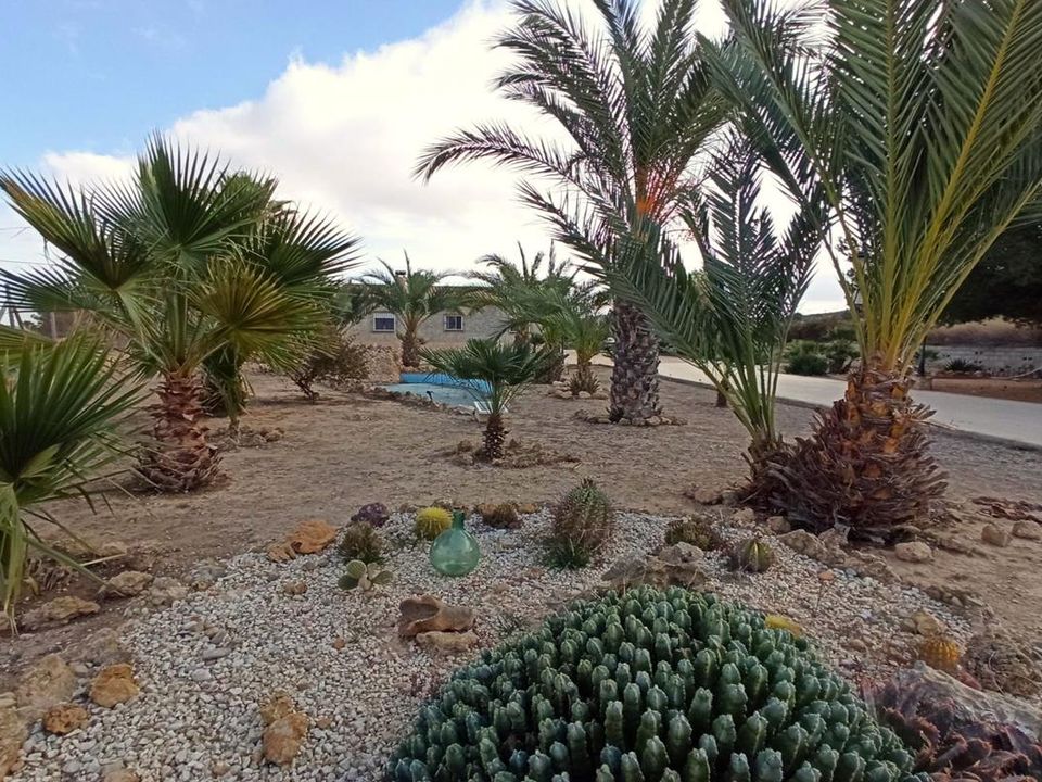 Herregård i Aspe, Alicante - bilde 5