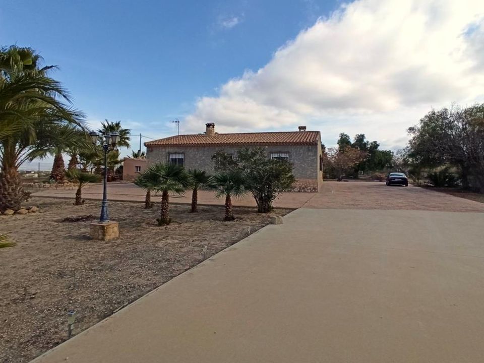 Herregård i Aspe, Alicante - bilde 4