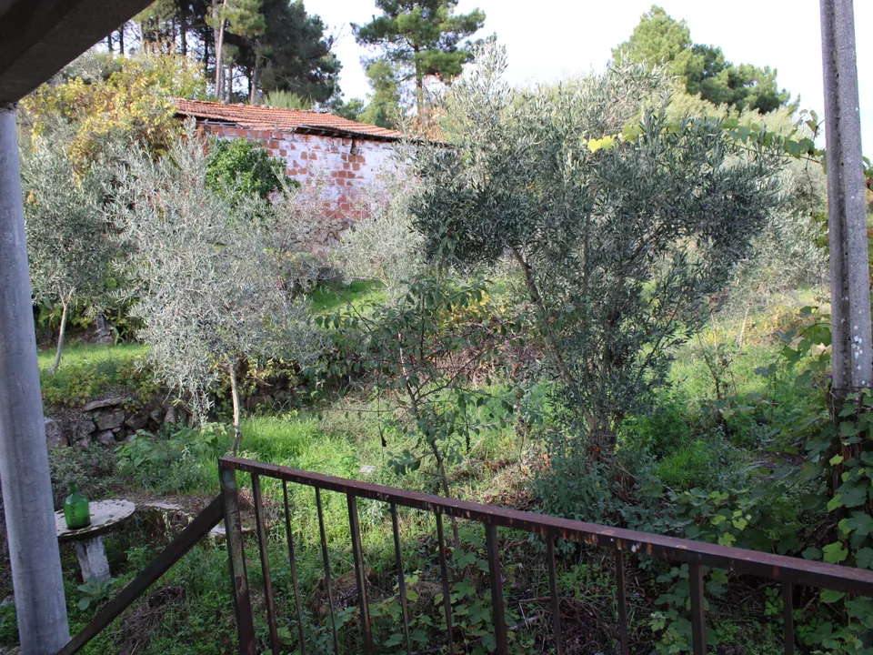 Landhuis in Valpacos, Vila Real - foto 3