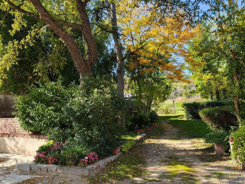 Farm hus i Figline e Incisa Valdarno, Florence - foto 5